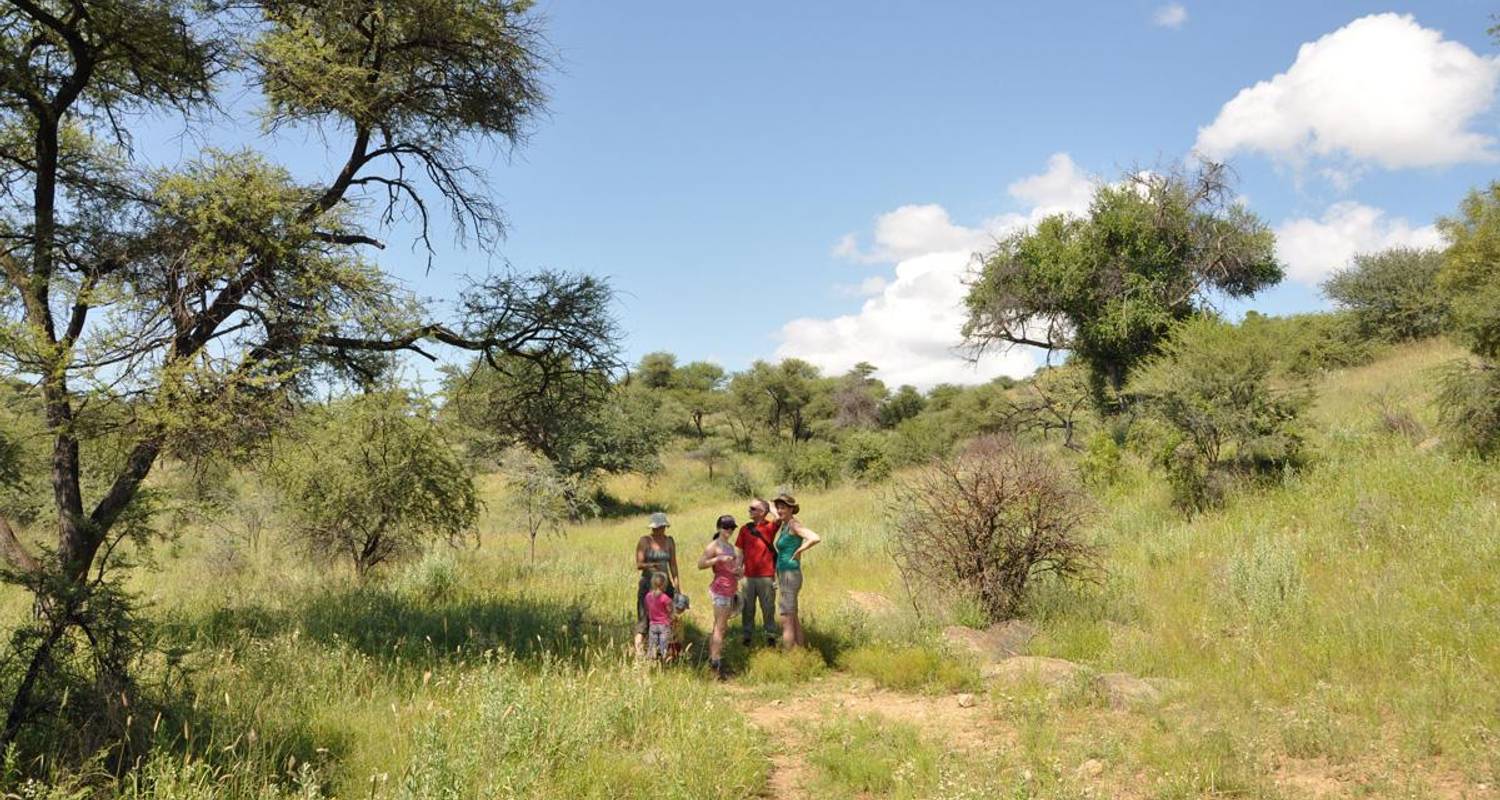 1 jour - Safari en voiture à prix réduit à Windhoek - Knap Tours Limited