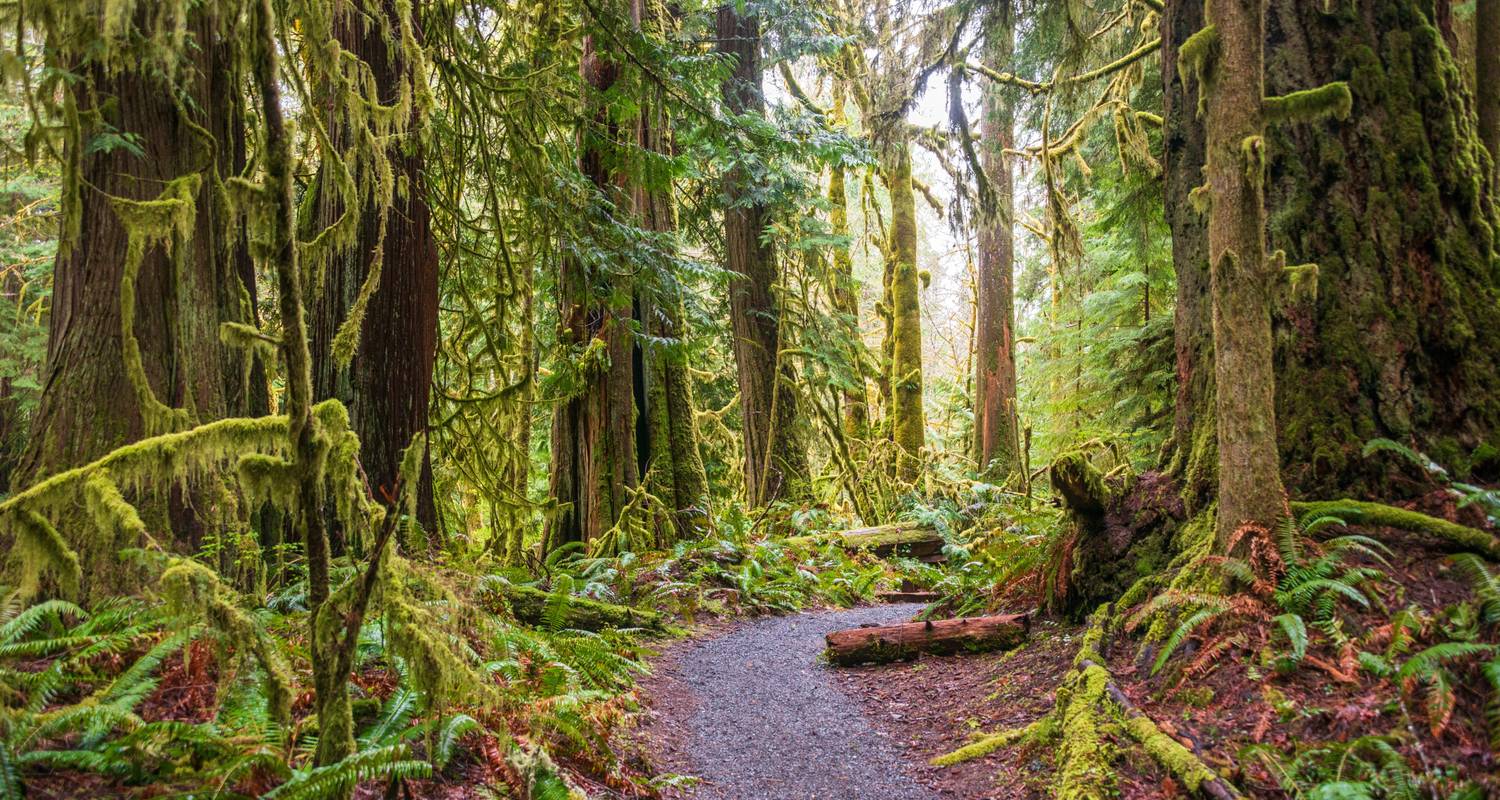Singlereisen in USA Pazifischer Nordwesten