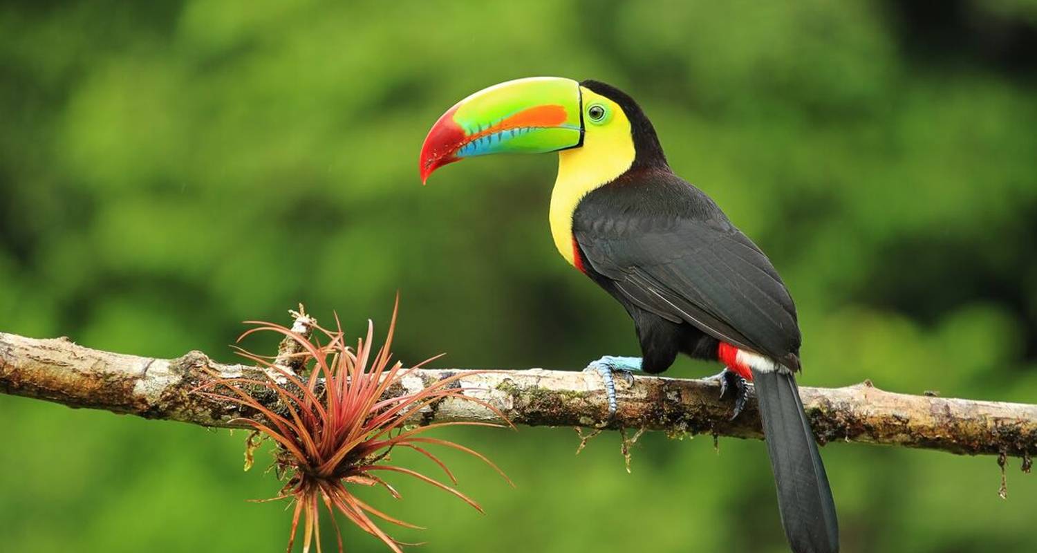 Central American Highlights