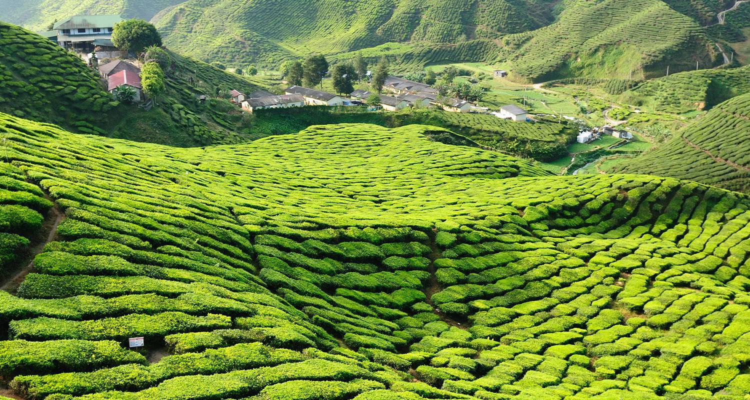 Malaysia Tours from Kuala Lumpur