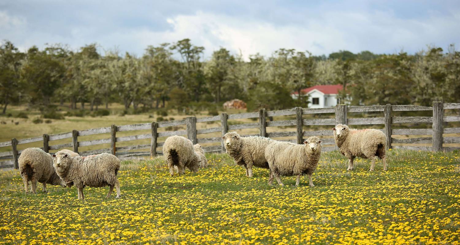 2-Week Argentina and Chile Tour Packages