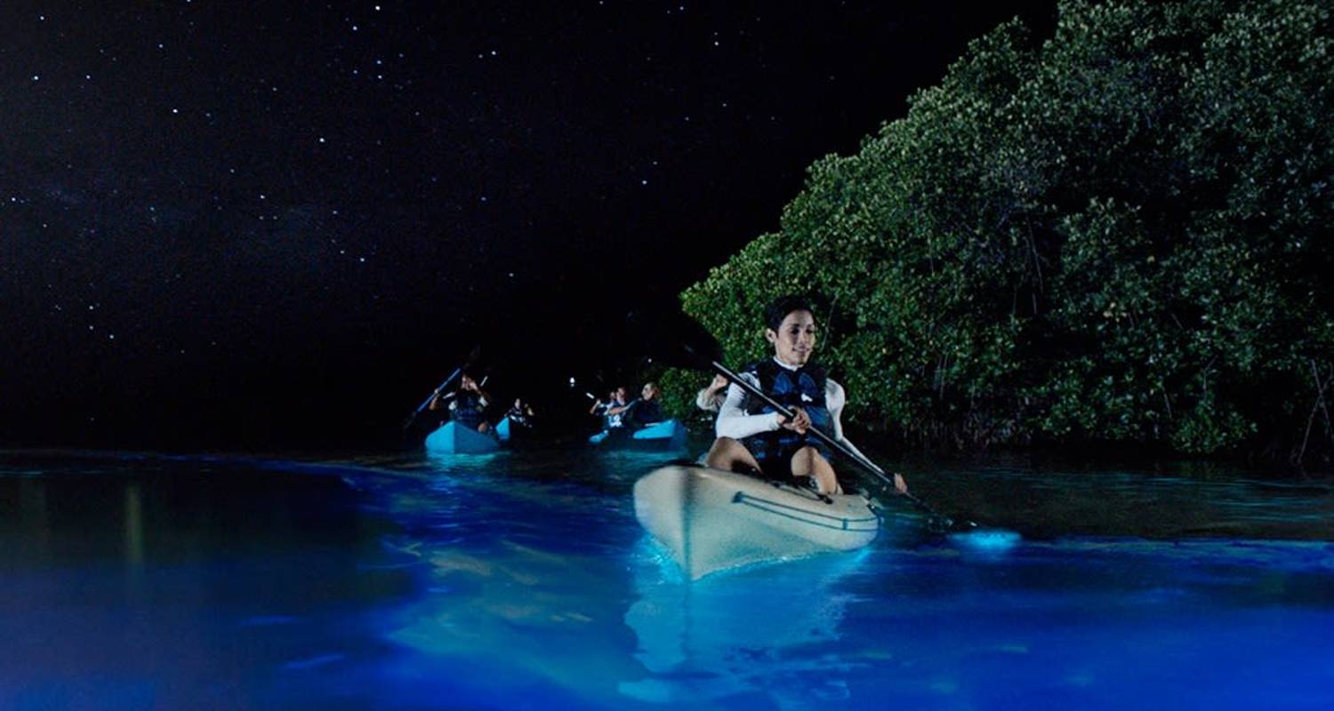 California Tours for Seniors