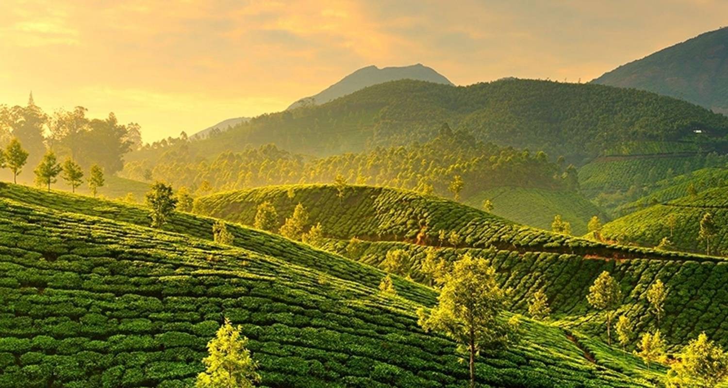 1-Month+ India Tour Packages
