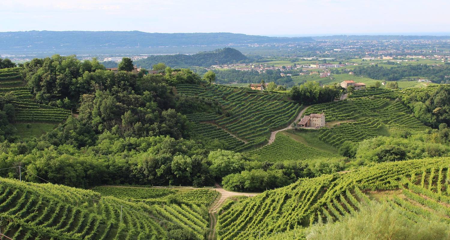 Prosecco Tours & Trips