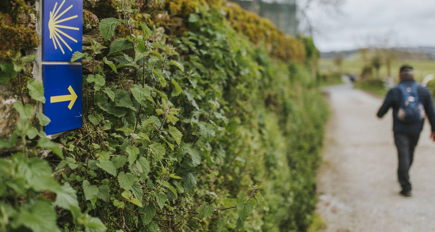 Camino de Santiago The Portuguese Way - 8 days