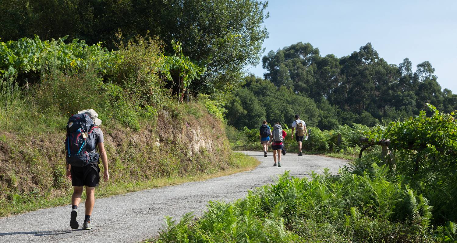 Camino de Santiago The French Way - 8 days
