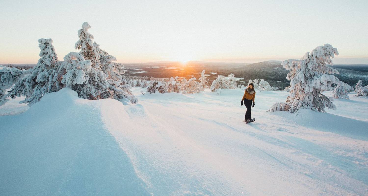 Heart of Lapland - Husky and Wilderness Experience