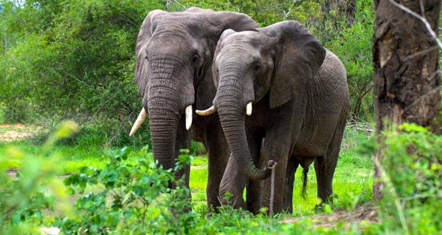 Kigali to Arusha Tours