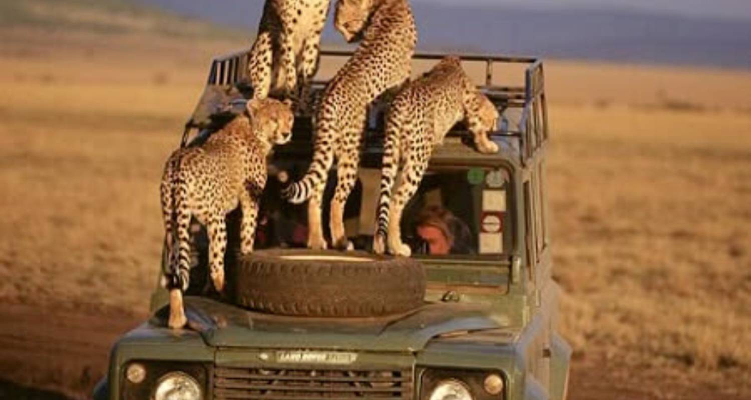 Circuits et voyages de 3 Jours dans le Okavango