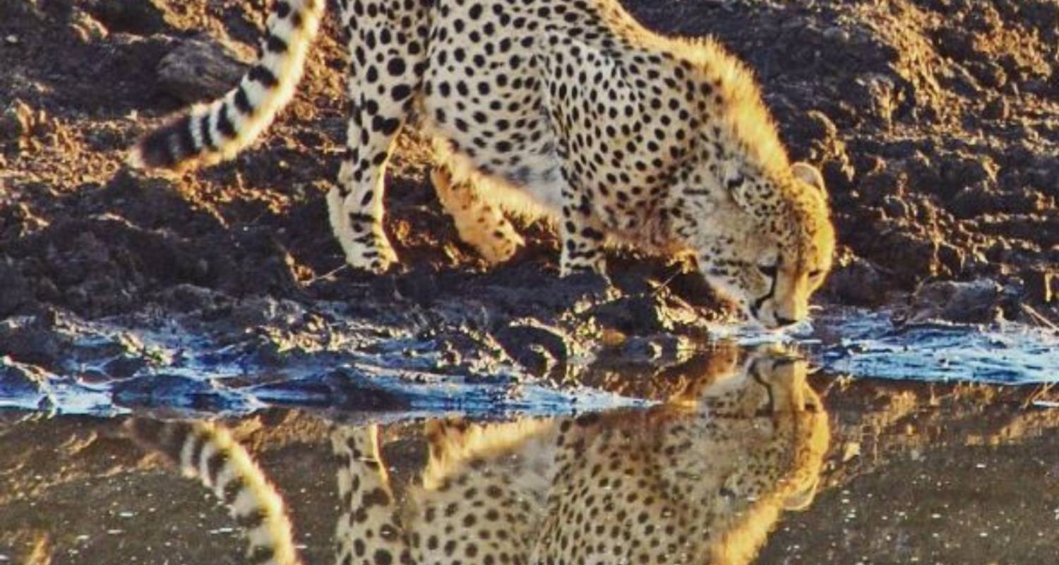 Circuits et voyages au Johannesburg