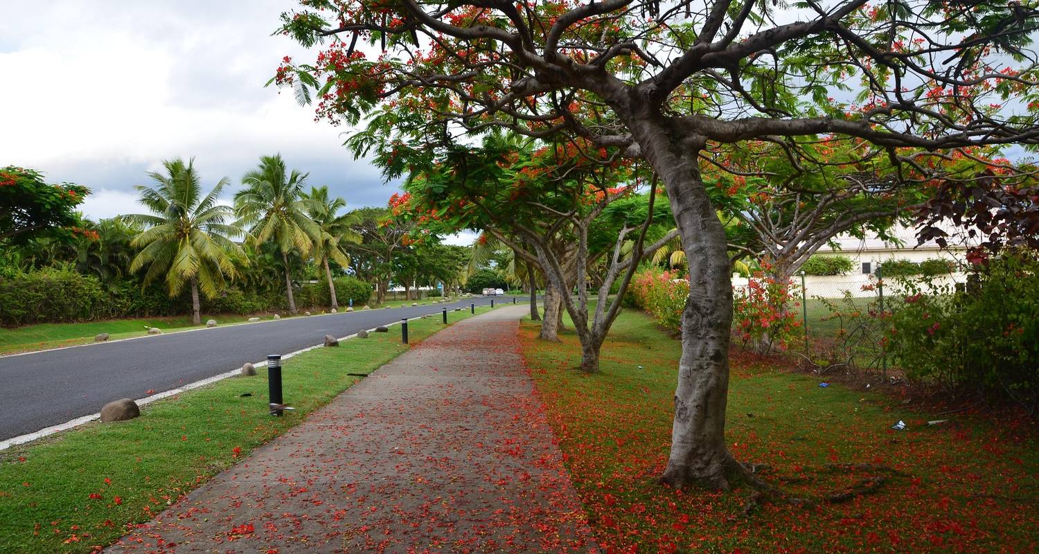 Fiji Small Group Tours