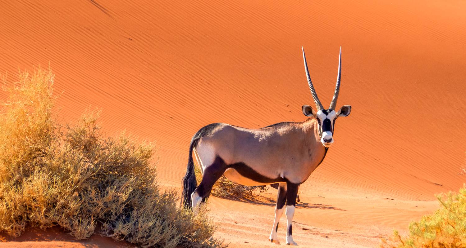 Privado Circuitos en Namibia y Sudáfrica