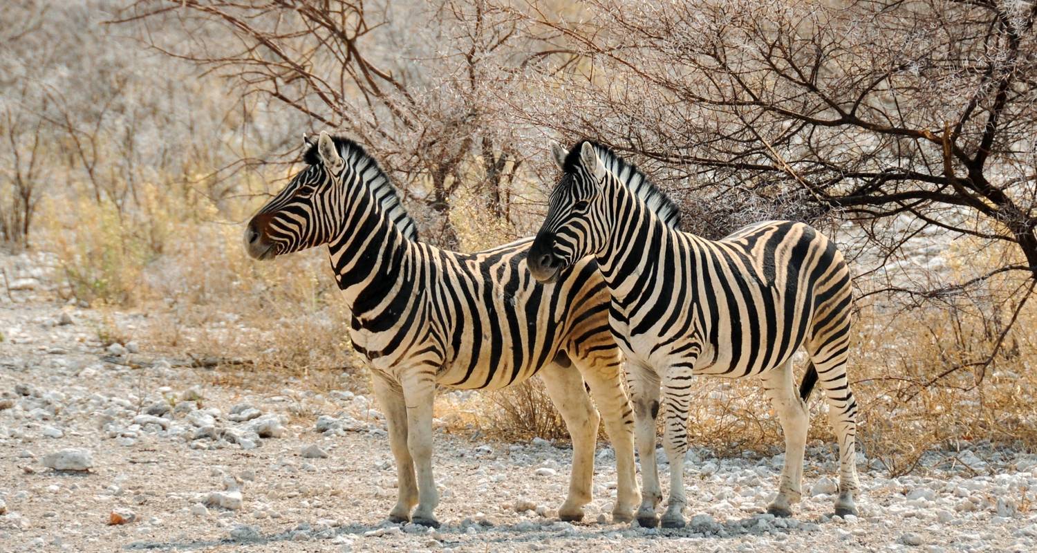 Circuits et voyages de 3 Jours dans le Parc national d'Amboseli