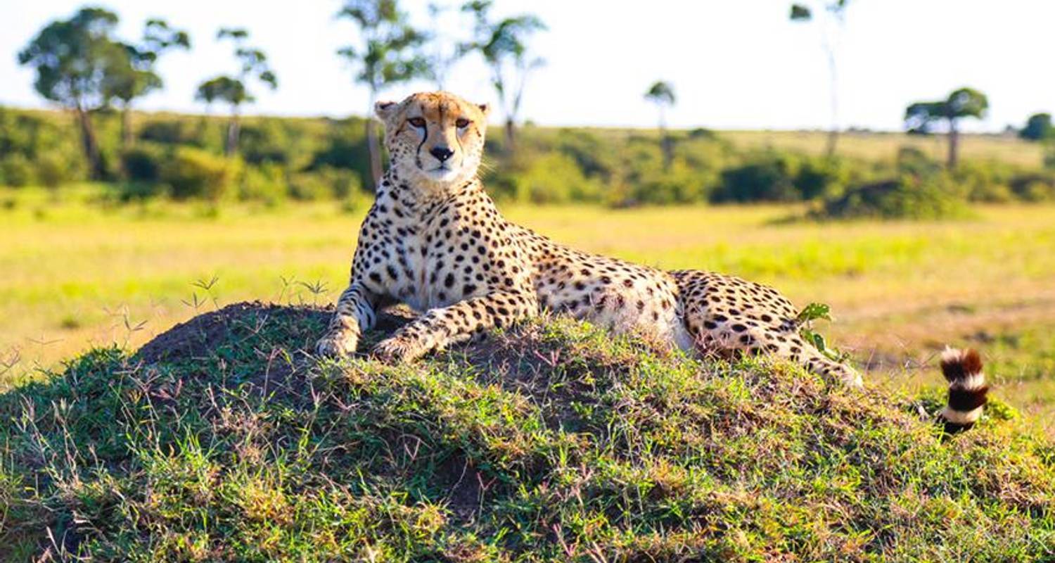 Circuits Kenya de 2 semaines