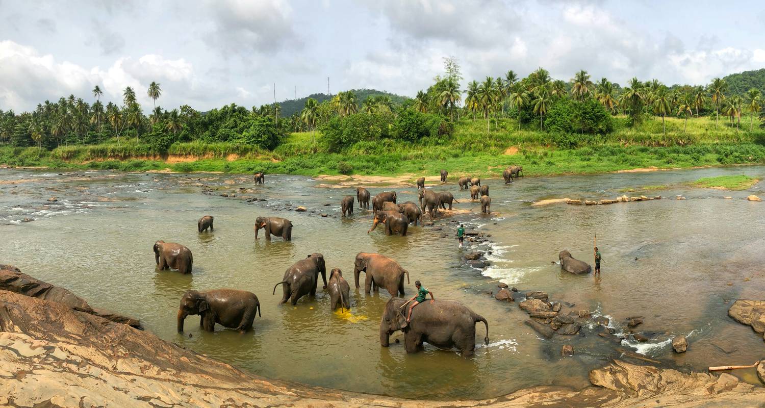 Playa Circuitos en Sri Lanka
