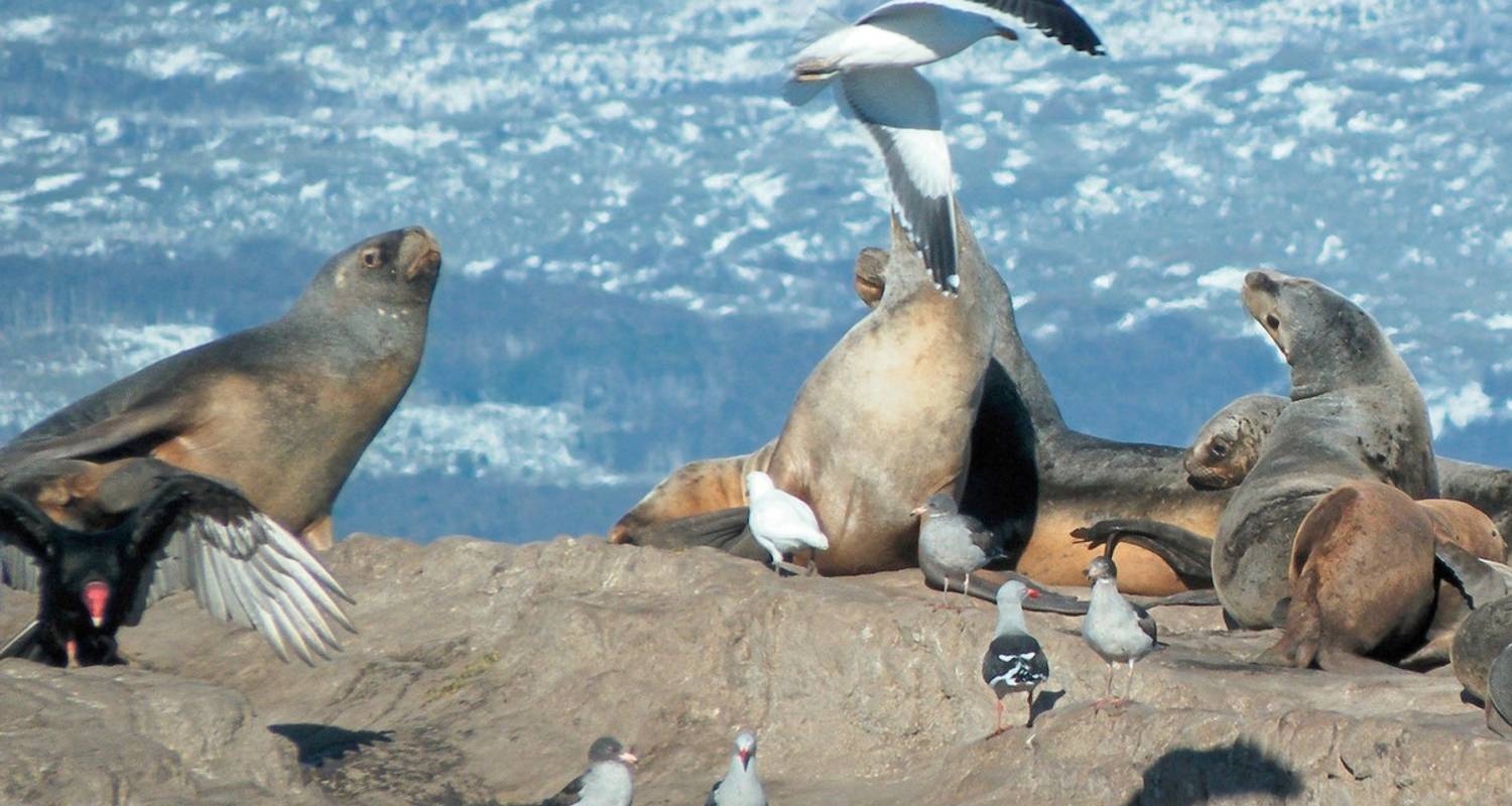 Ushuaia to El Calafate Tours