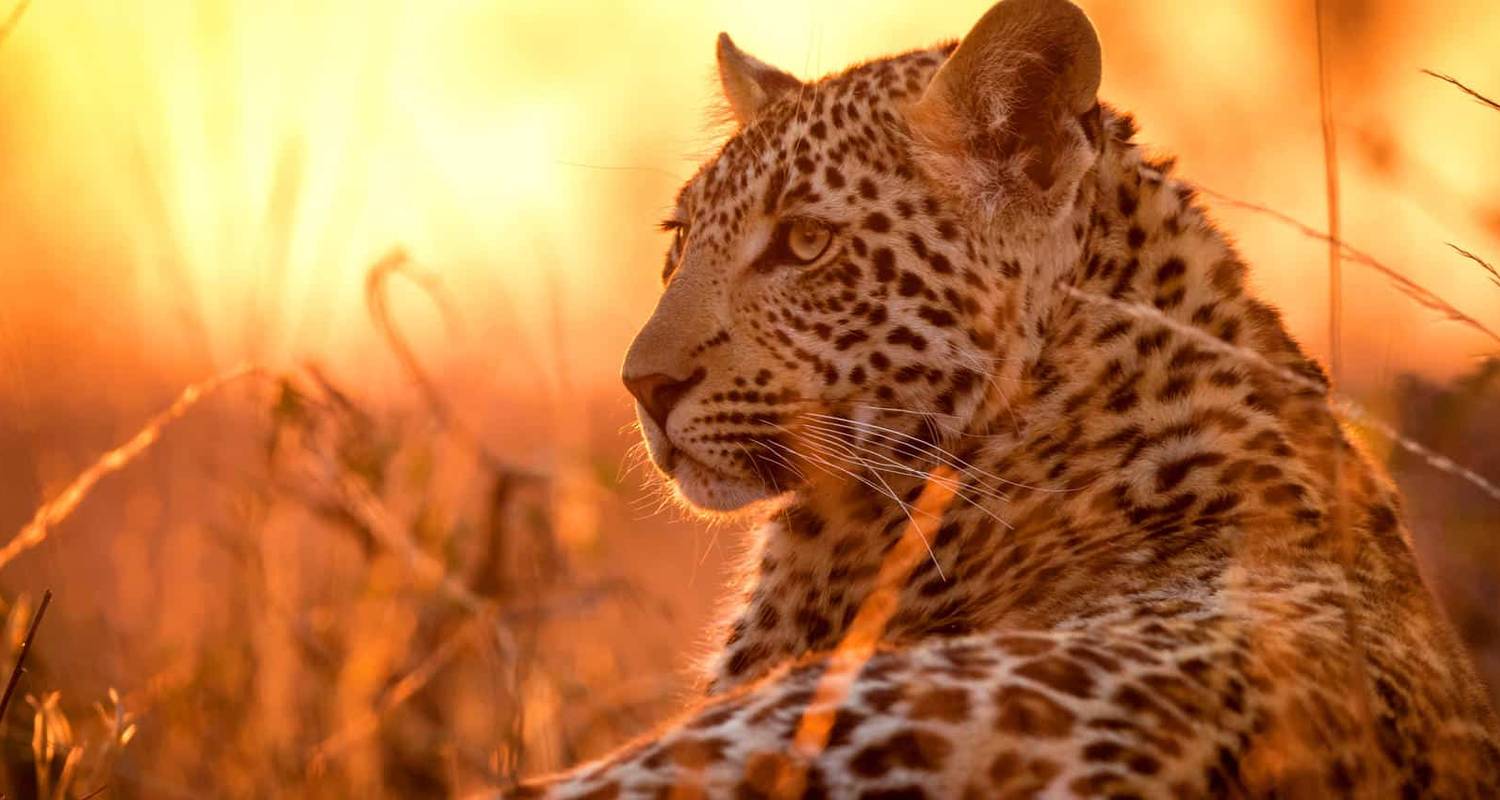 Cape Town to Johannesburg Tours