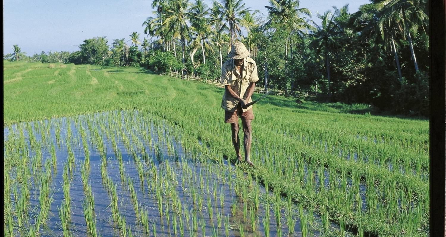 Circuits et voyages Aventure pédestre – Bali