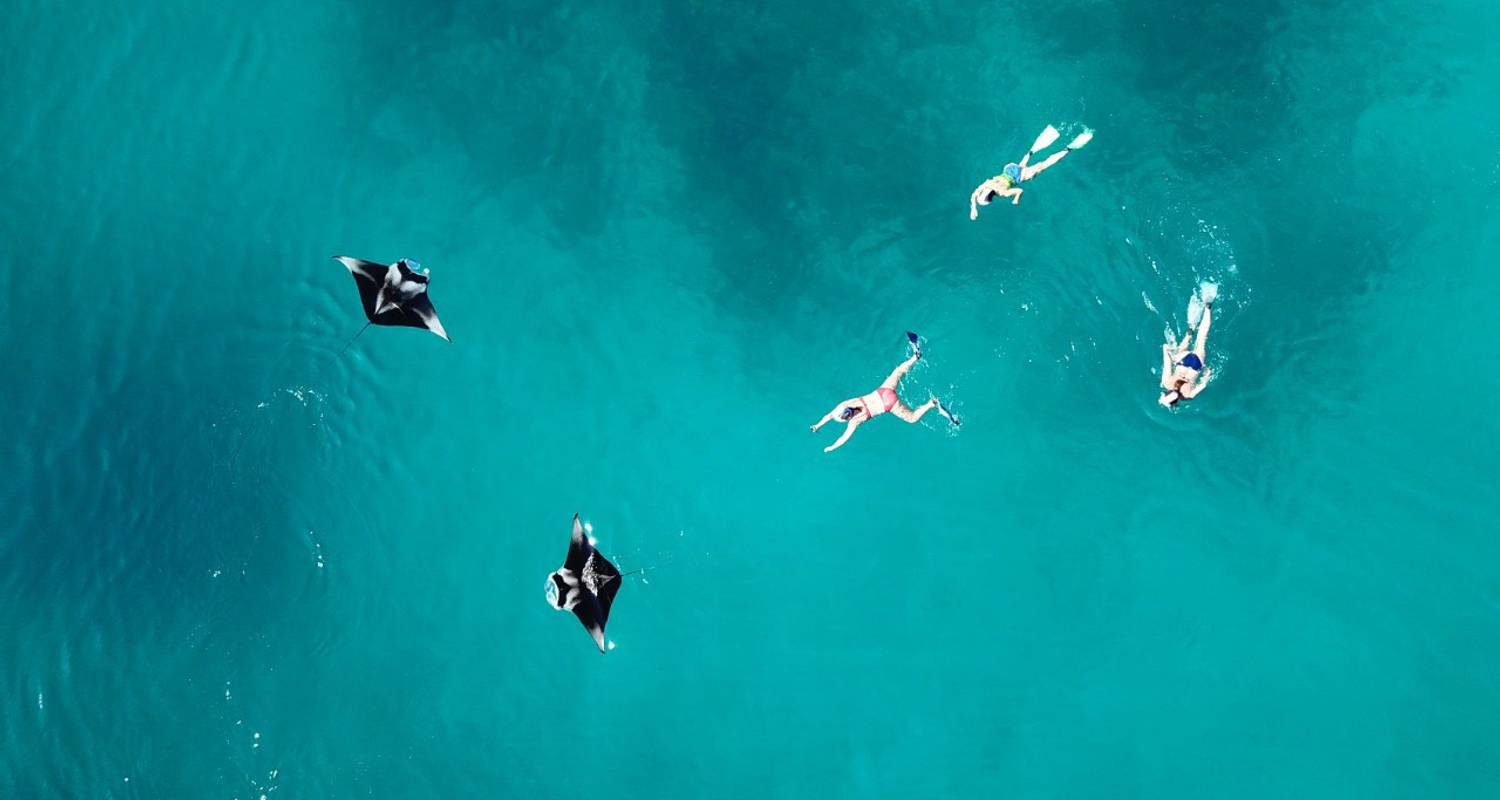 Maldives Sea Turtle Conservation Cruise - 8 days