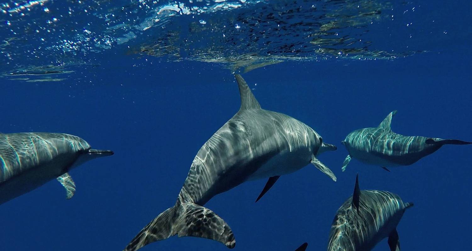 Maldives Baa Atoll Adventure - 8 days