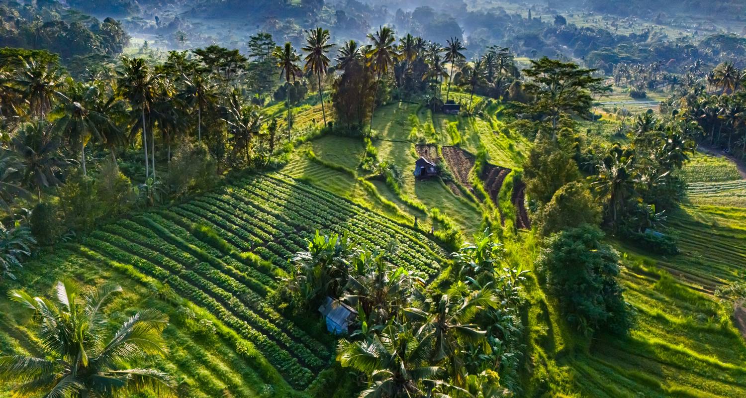Intl. Flights Included Tours & Trips in Bali