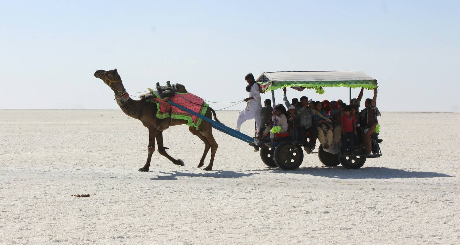 New Delhi to Ahmedabad Tours