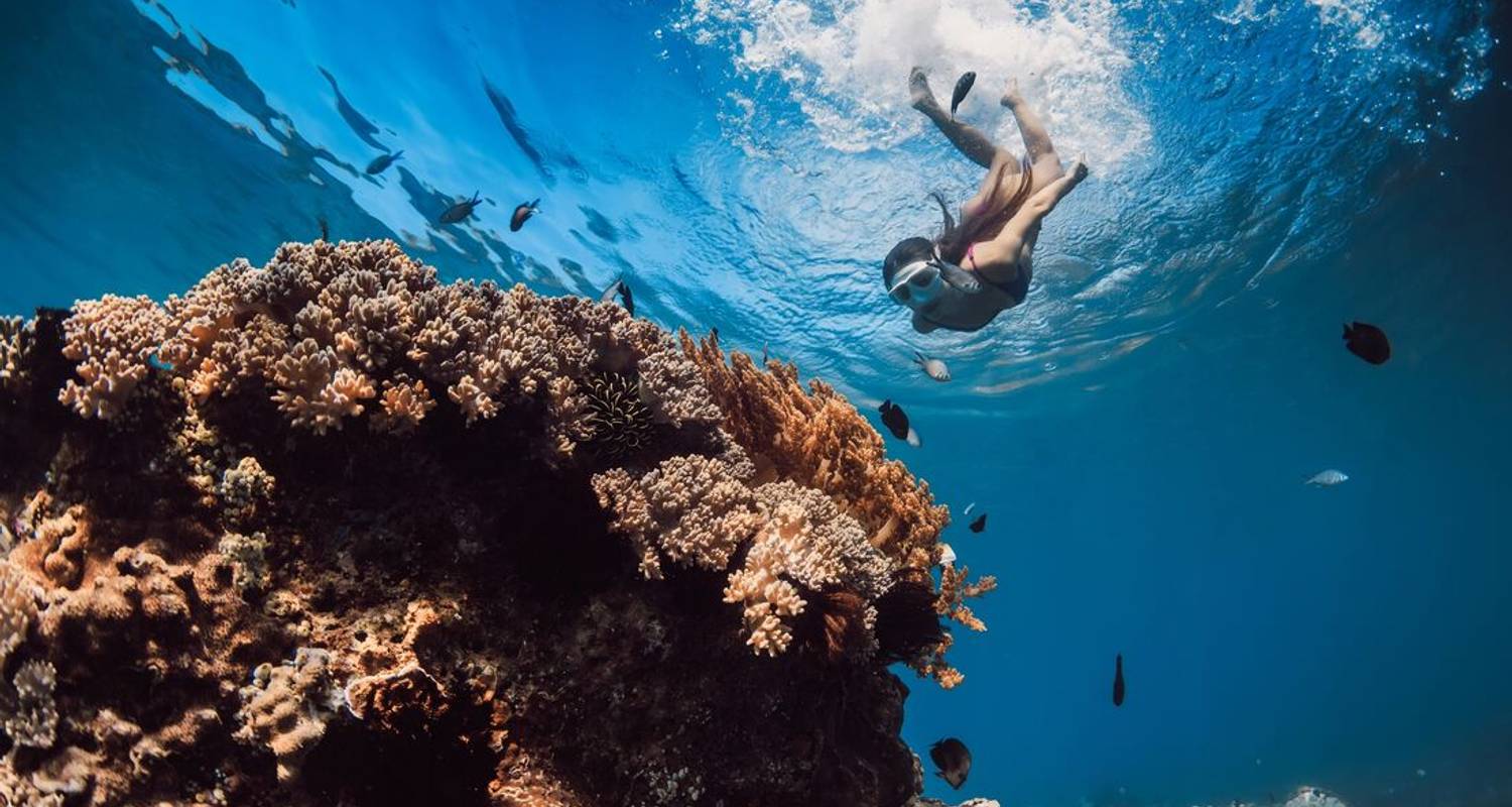 Circuits et voyages Récif de Ningaloo au départ de Perth