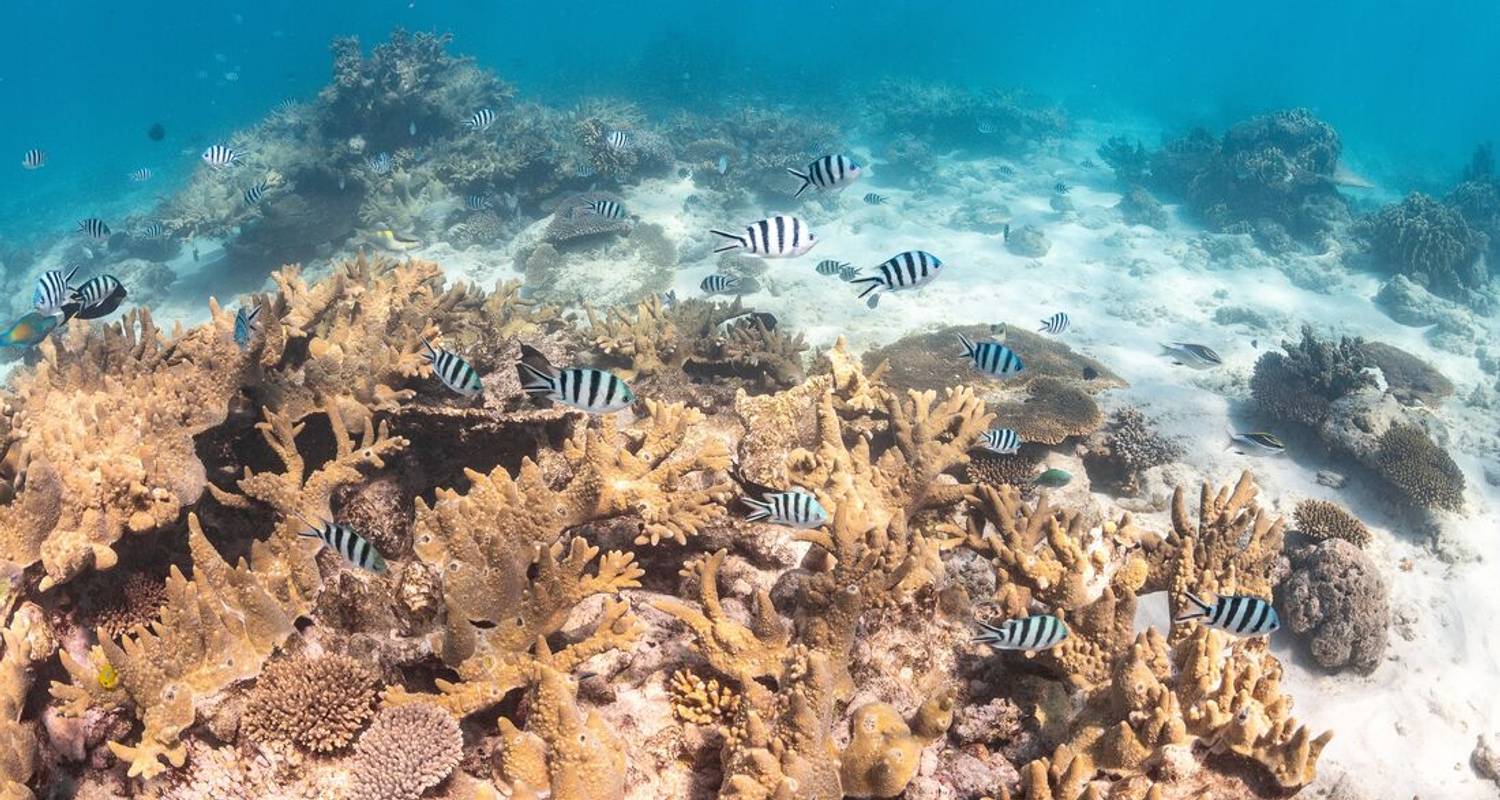 7-Day Western Australia Tour Packages