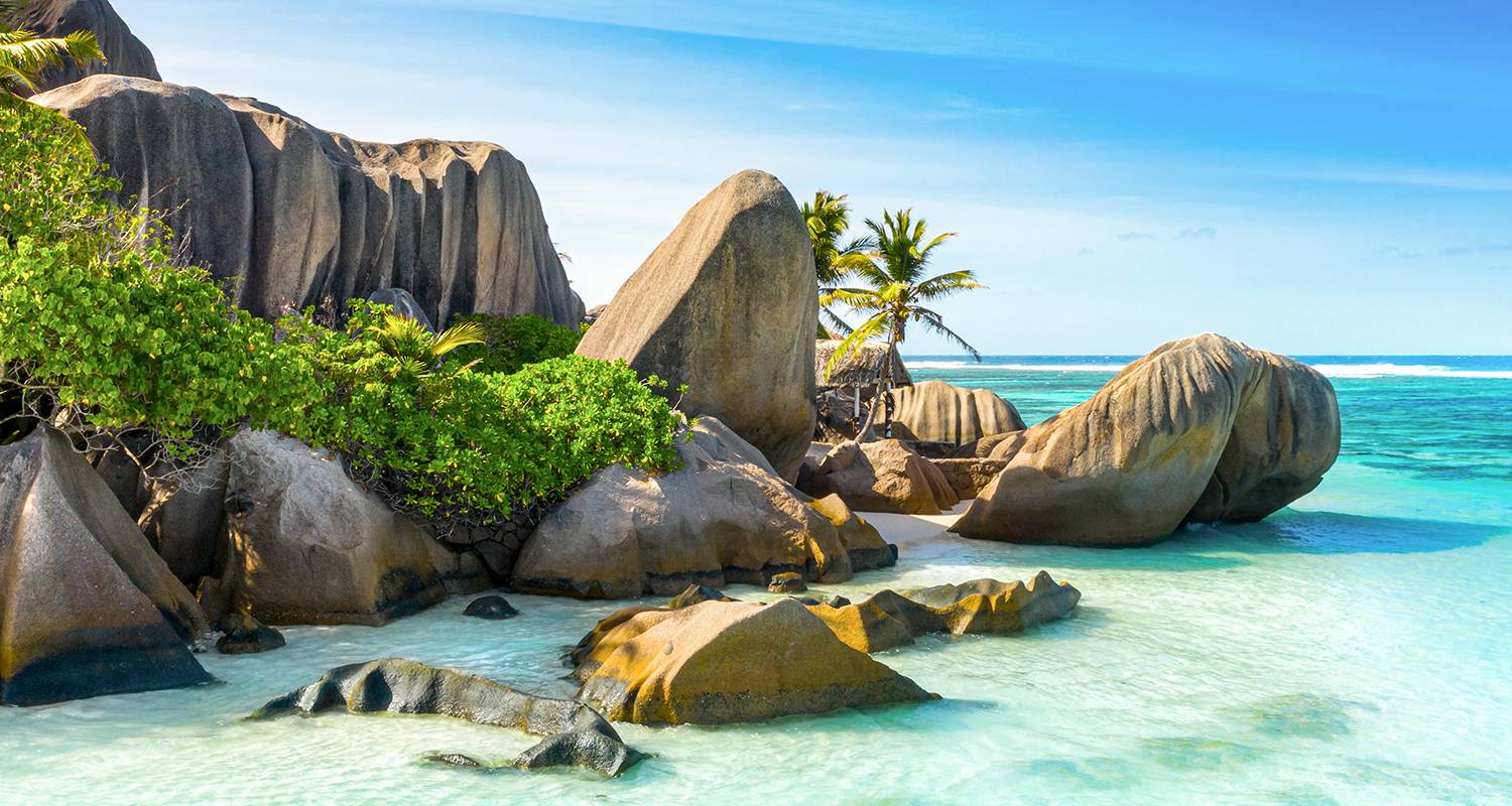 Safari, The Seychelles and Indian Ocean 2028 - 20 Days