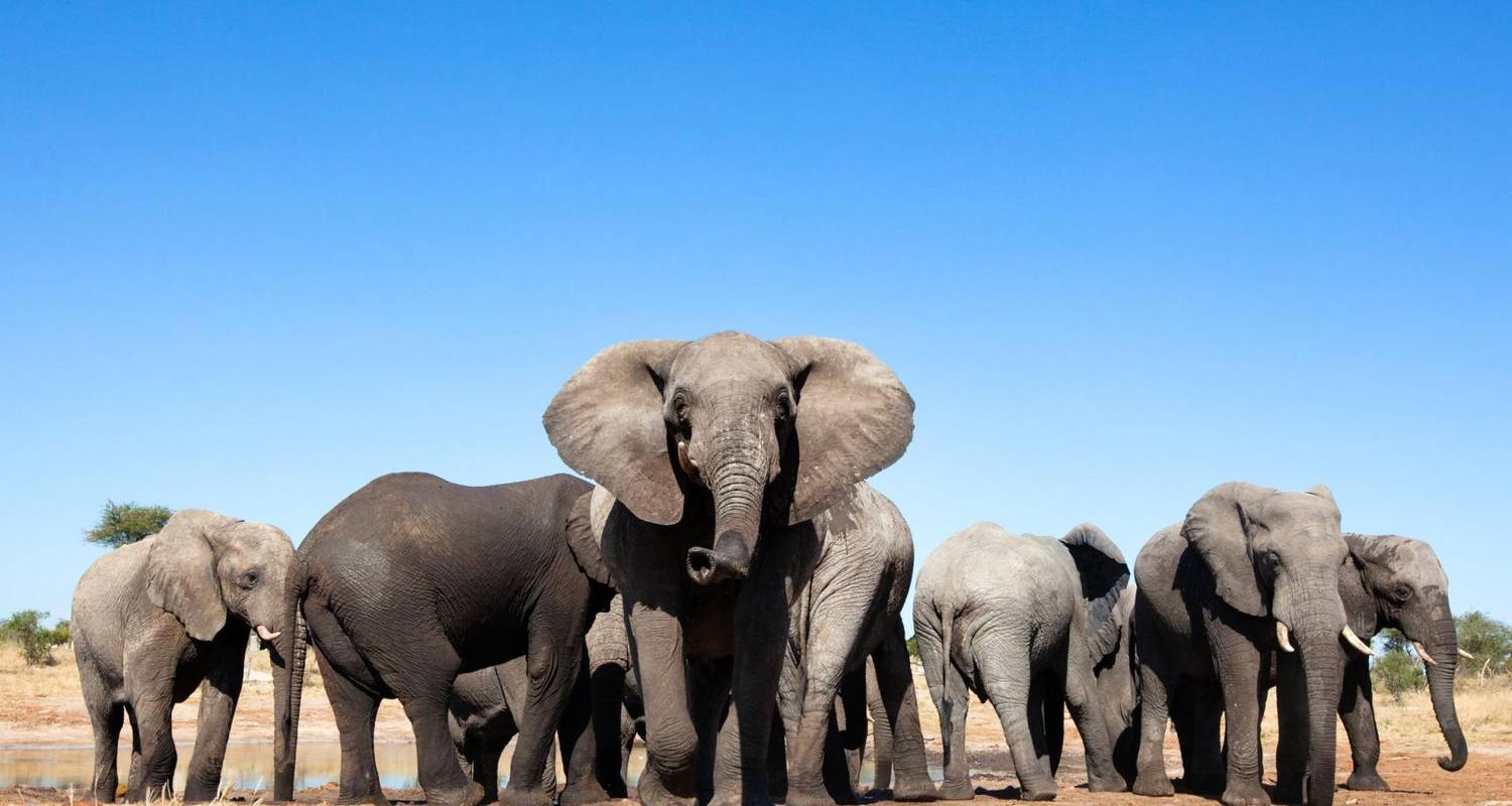 Wildlife & Waterfalls - 2026