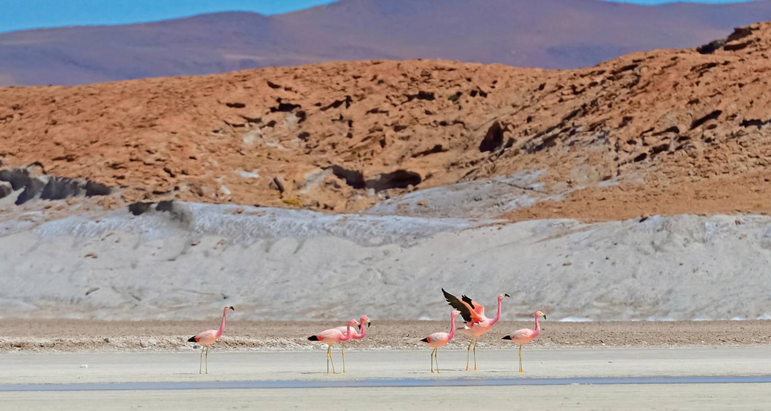 7-Day Bolivia Tour Packages