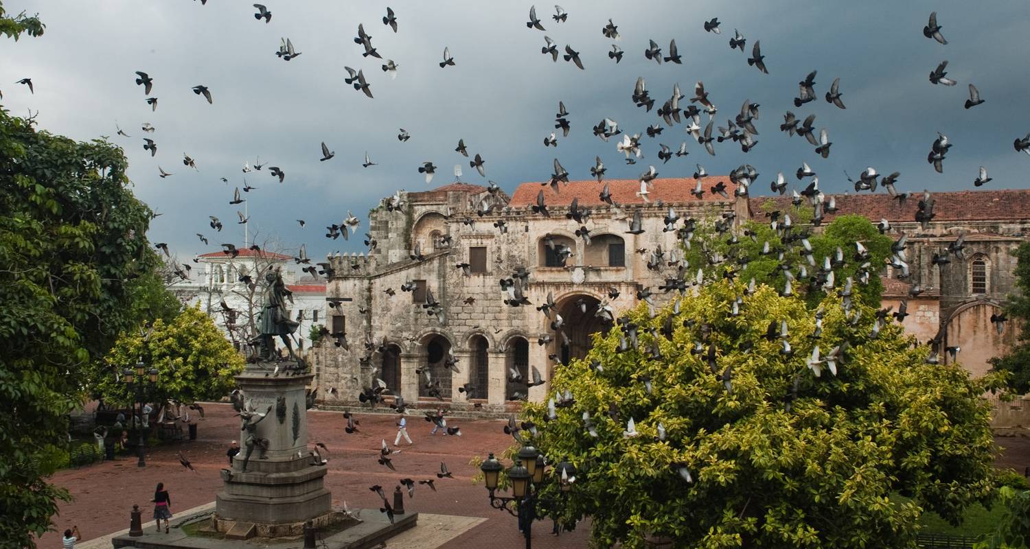 Dominican Republic & New York: Unfiltered Island Life