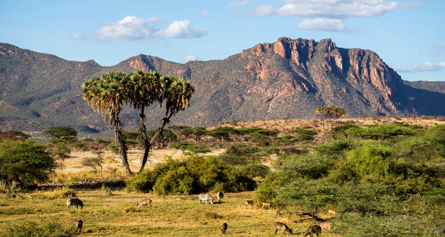 Afrique : Circuits photographie culturelle 2025/2026