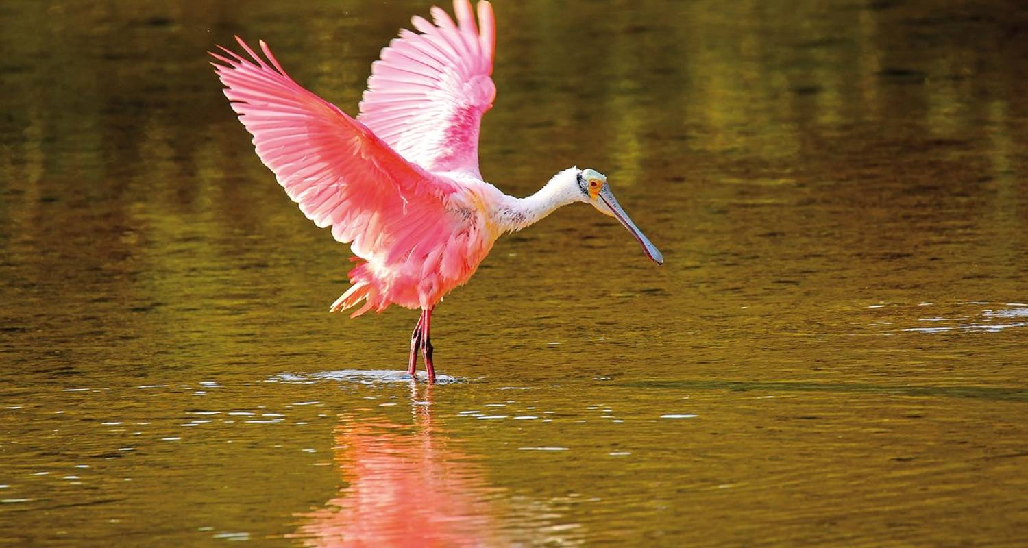 Cultural Photography Tours & Trips in USA