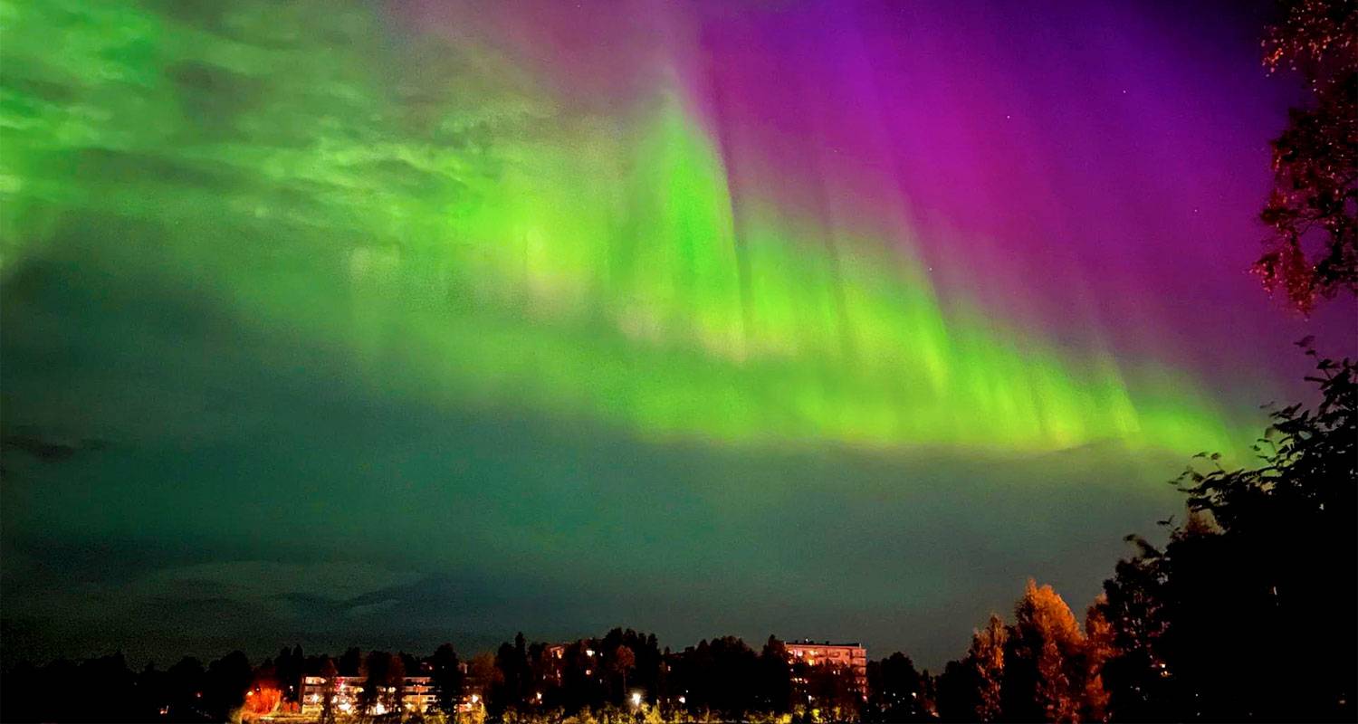 3 Days Wild Rovaniemi Summer Vacation in Finland