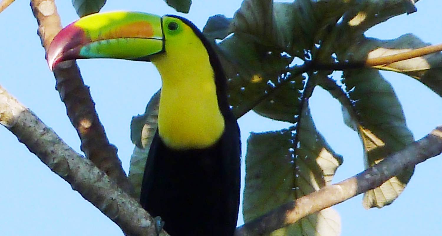 Voyages romantiques et lunes de miel en Belize pour les couples
