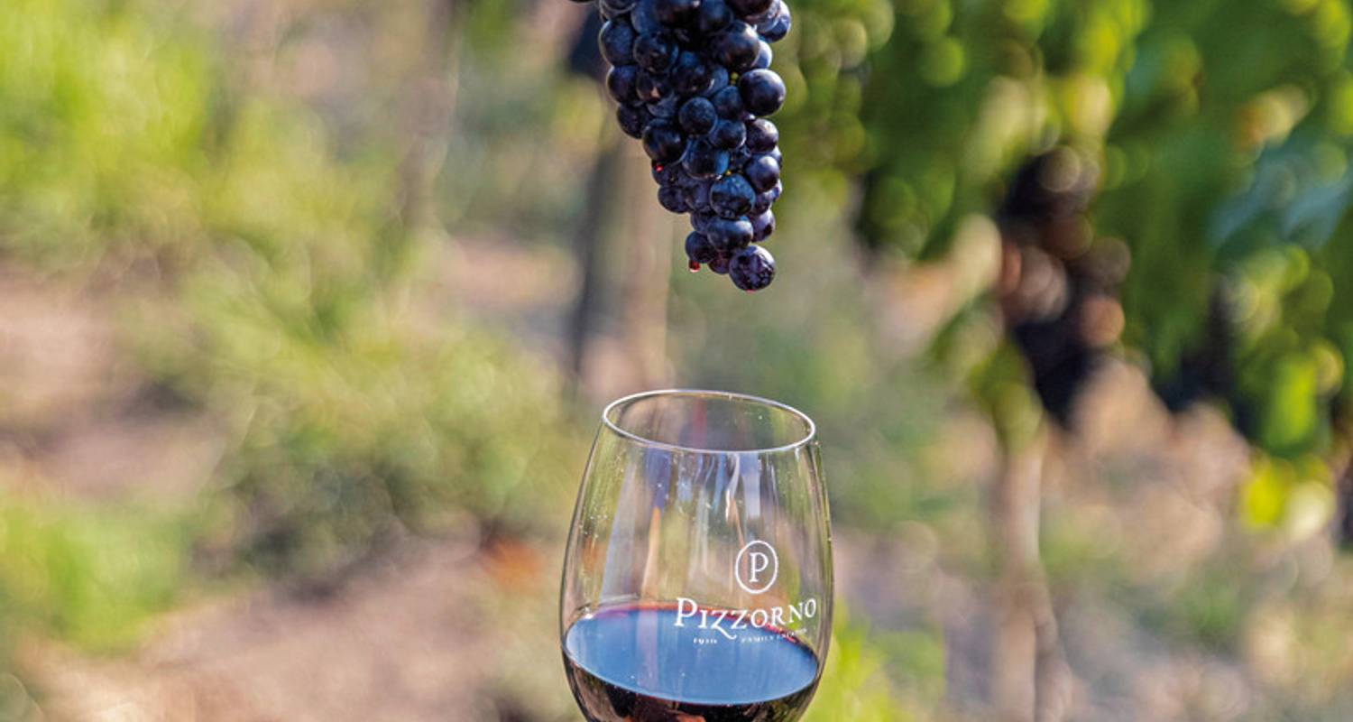 Amérique latine : Circuits éducatif 2026