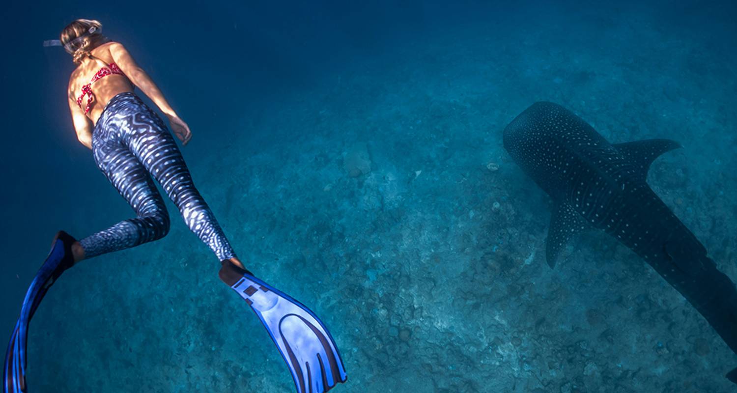 Circuits Palawan en Juin 2026