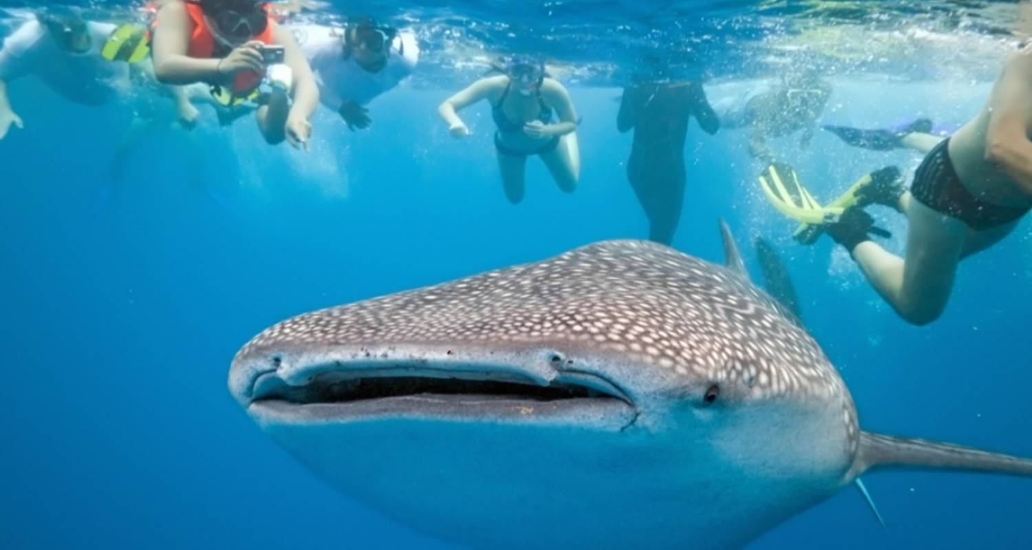 Palawan Island Tours in July 2026