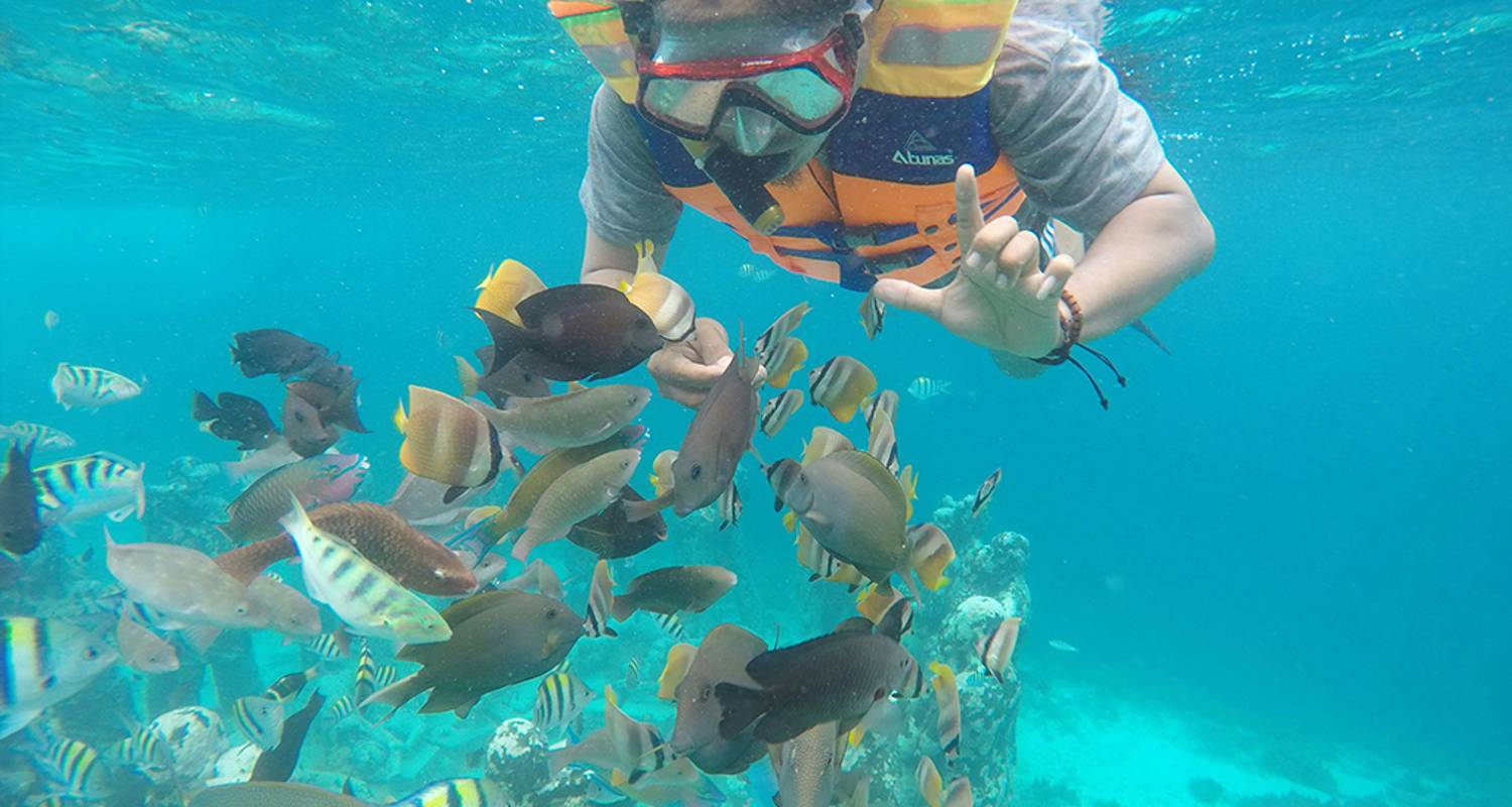 12 Days Best of Philippines Small Group Tour (Max 8)