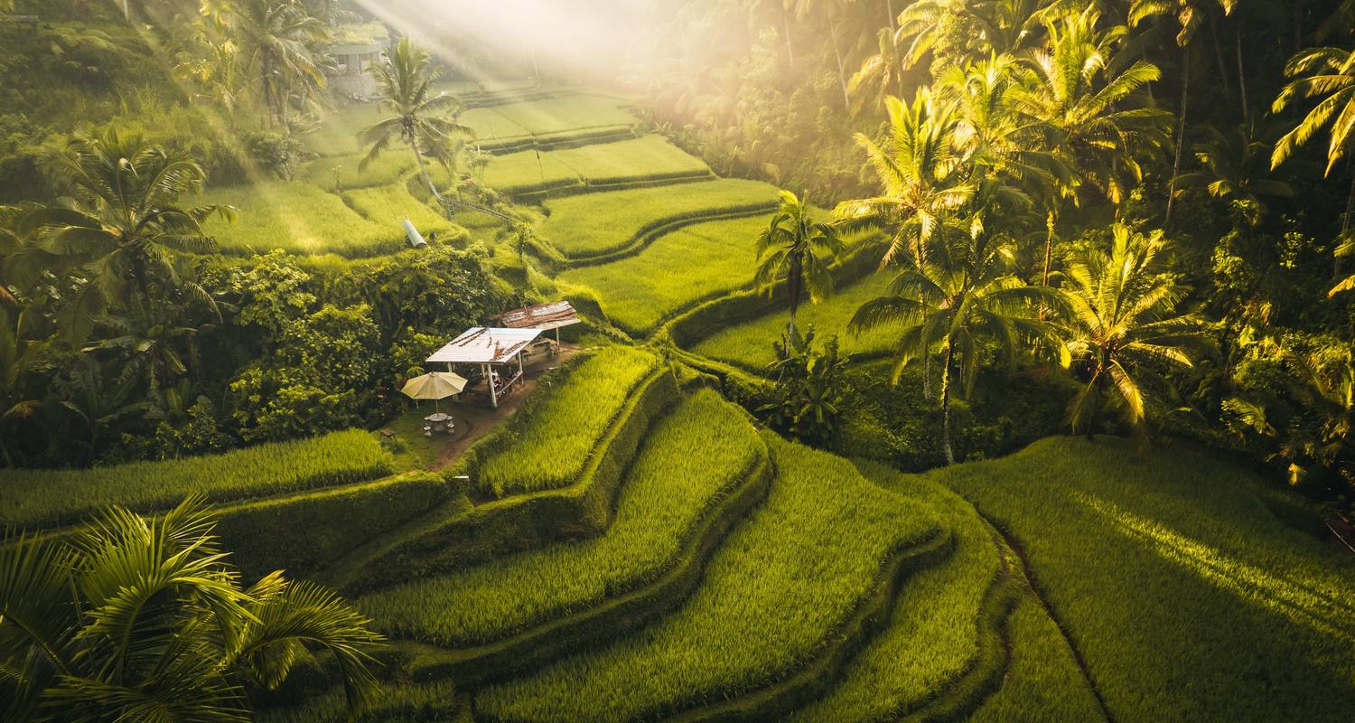 Autoguiado circuitos en Bali