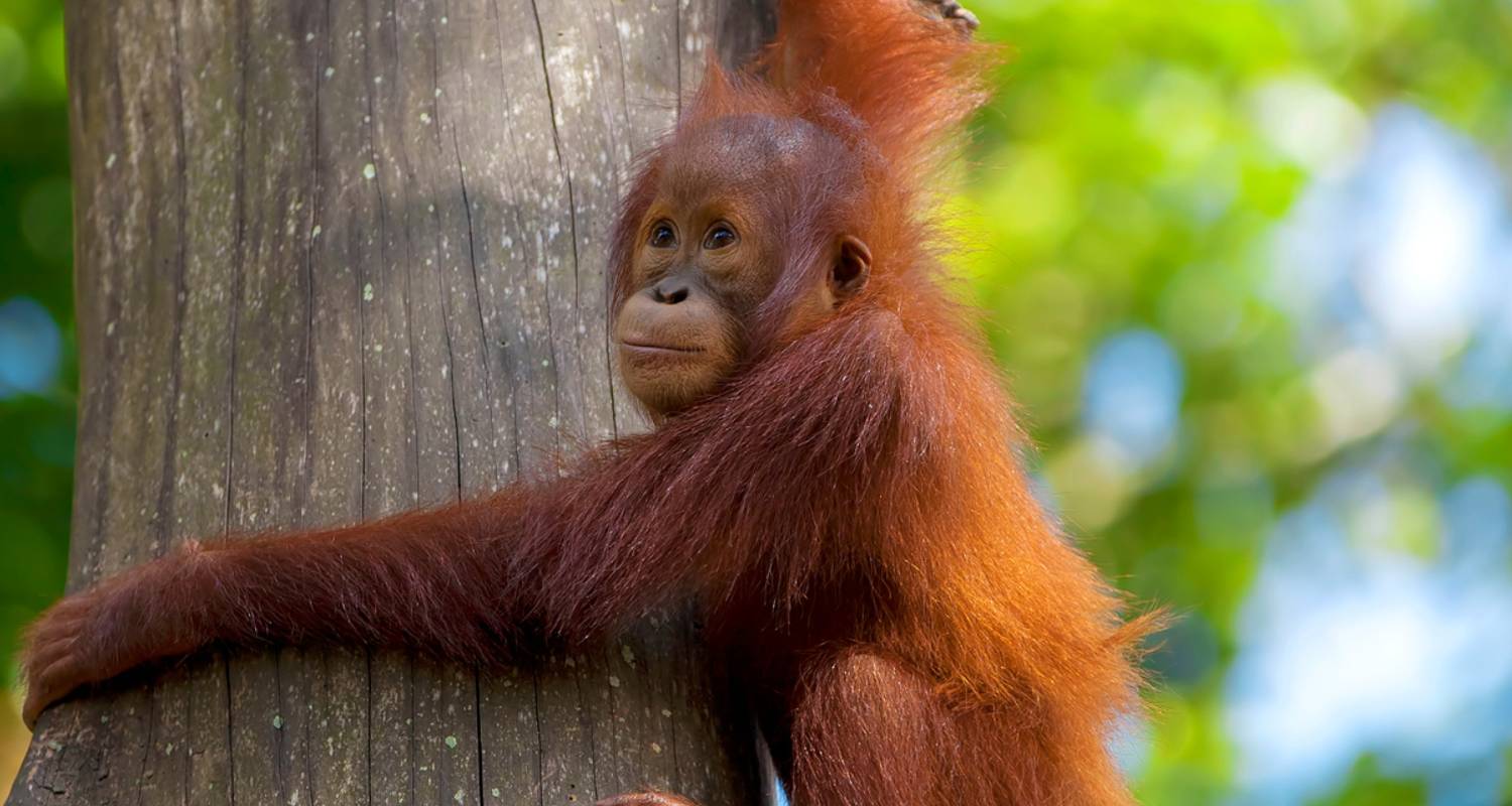 Malaysia and Singapore Tours for Seniors