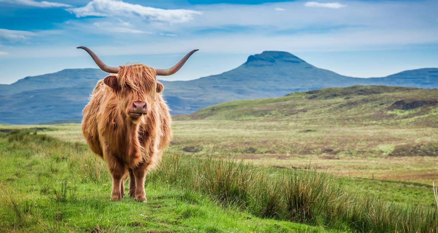 Inverness to Orkney - 3 days