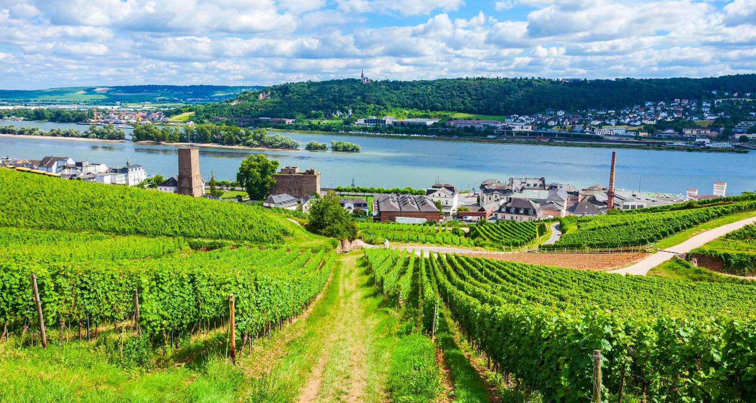 Grand Rhine & Dutch Canals 2027