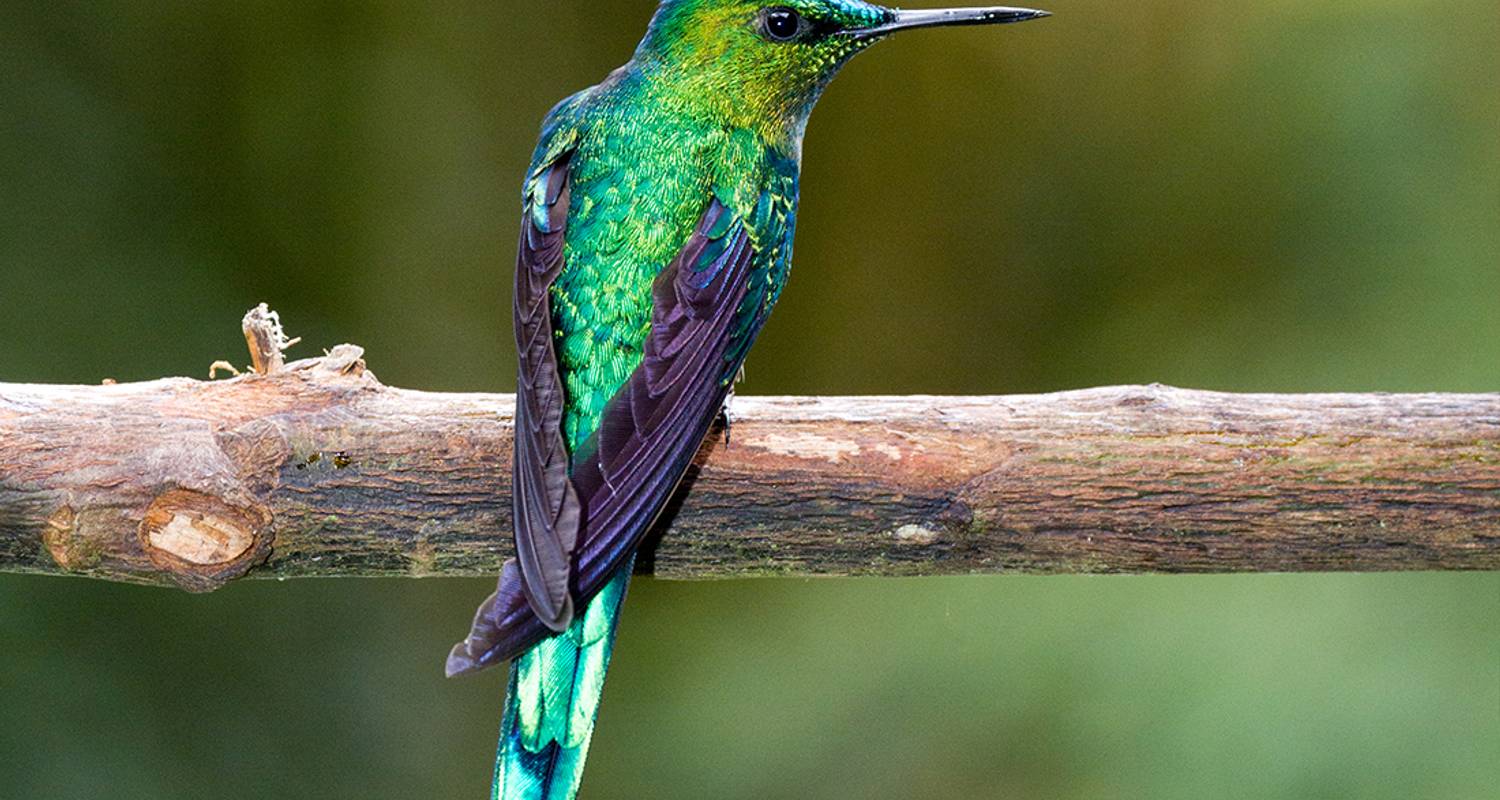 Sierra Nevada de Santa Marta Tours & Trips