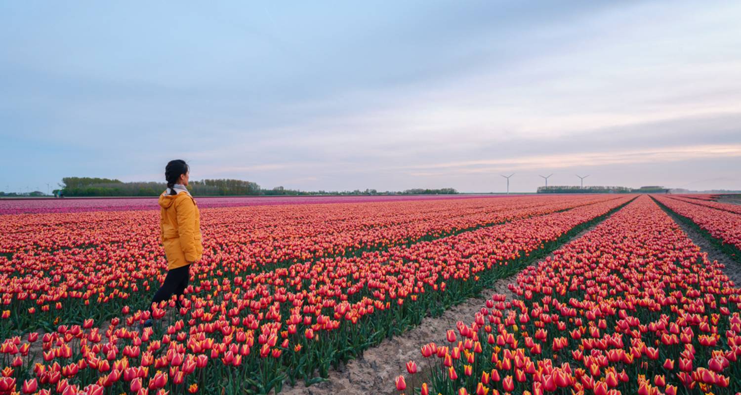 Budget Tours & Trips to Belgium and Netherlands