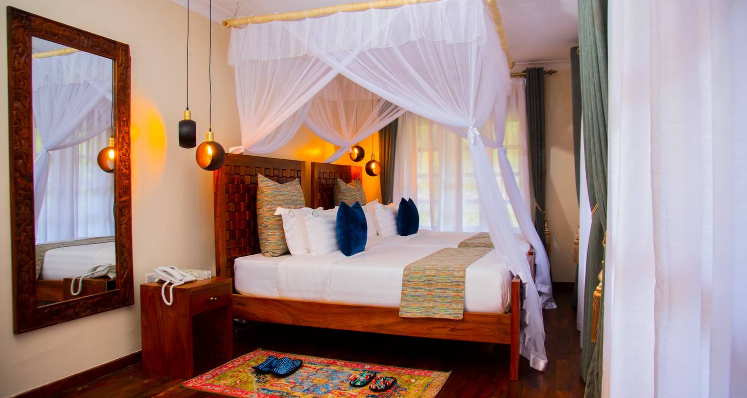 Randonnée dans la forêt de Kibale avec les chimpanzés et promenades dans la nature - Oasis Safaris Limited