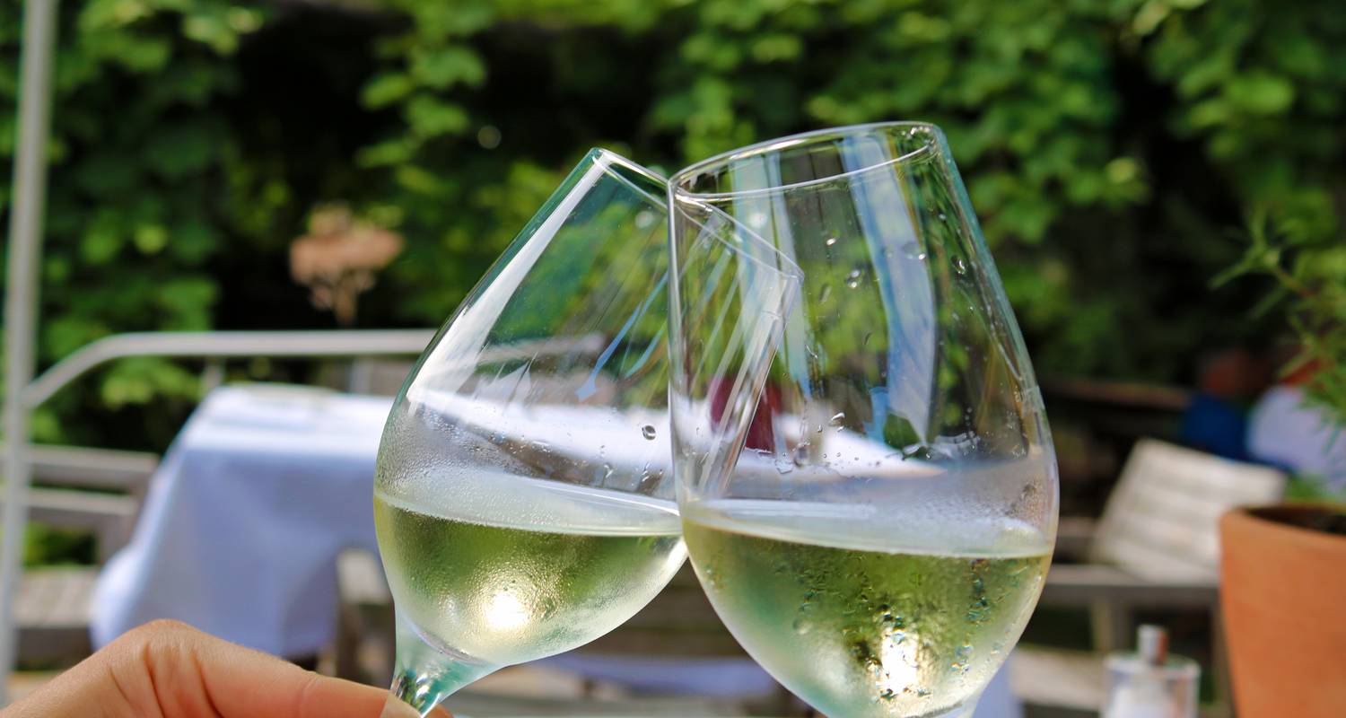 Palatinate Cycle Tour - Through Vineyards and the Rhine plain - 8 Days