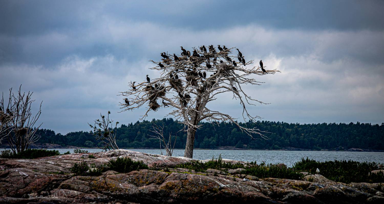 A Leisurely hike through the Upper Engadine: the mountain World of St. Moritz 7 Days