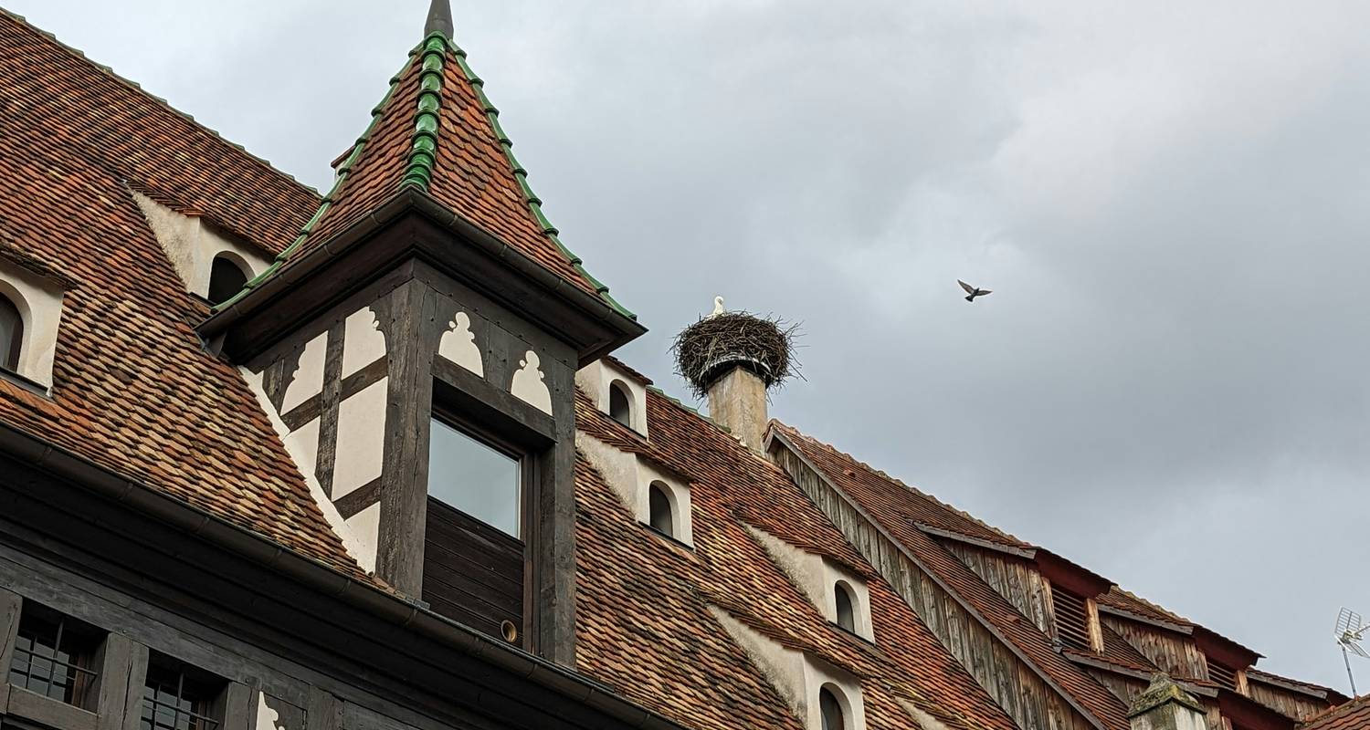 Alsace - guided e-Bike Tour 7 Days